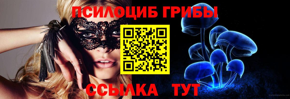 Артём  Псилоцибиновые грибы мицелий  Вход с VPN 